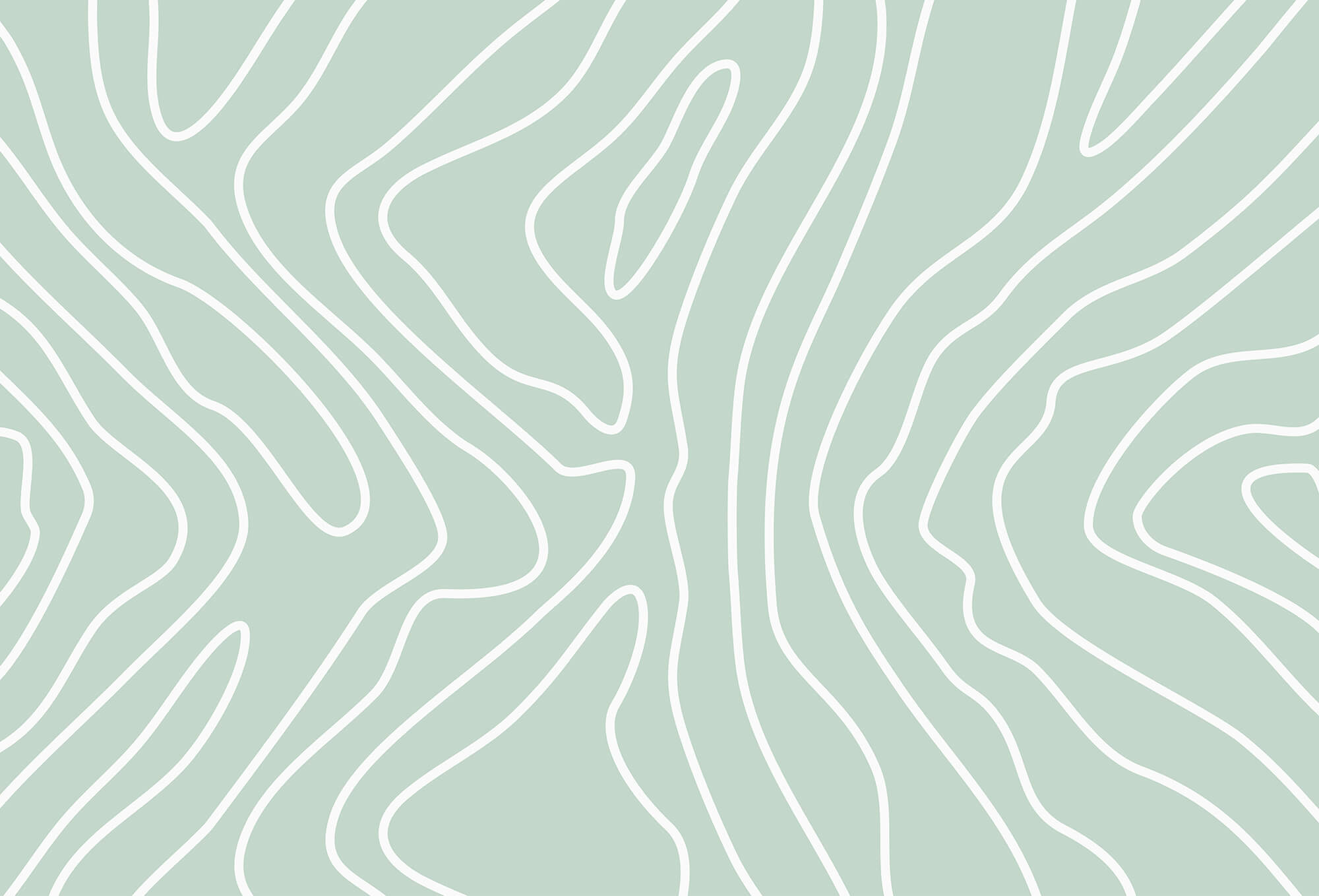 White lines on a light green background White lines on a light green background