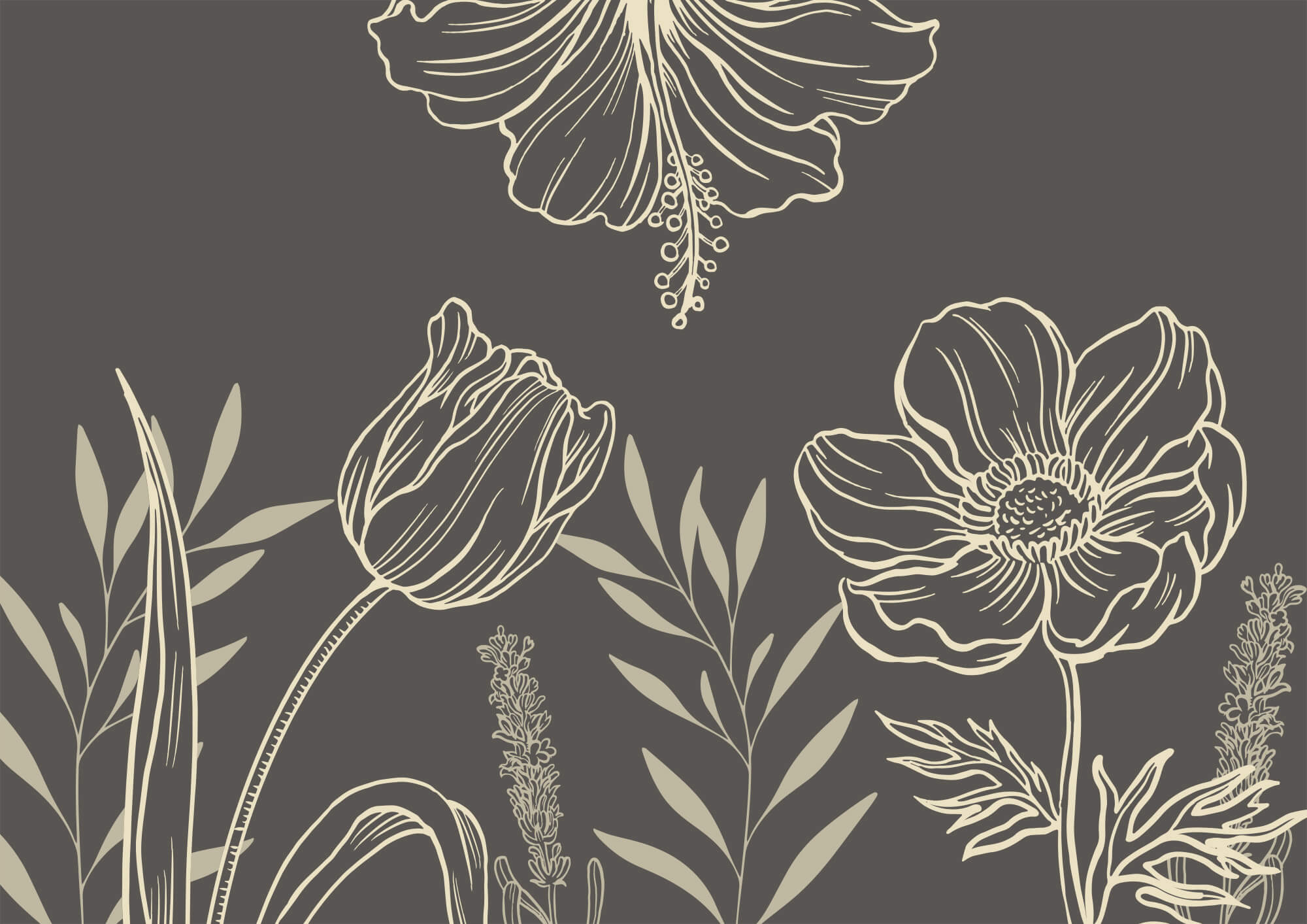 Delicado desenho de linhas florais t00006p - Delicado desenho de linhas florais - tegory