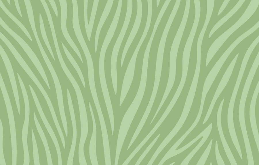 Estampado de zebra verde e branco