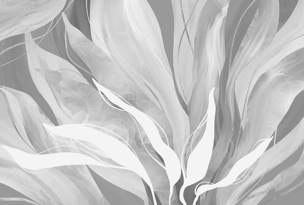 Sussurros de formas suaves e fluidas Sussurros de formas suaves e fluidas