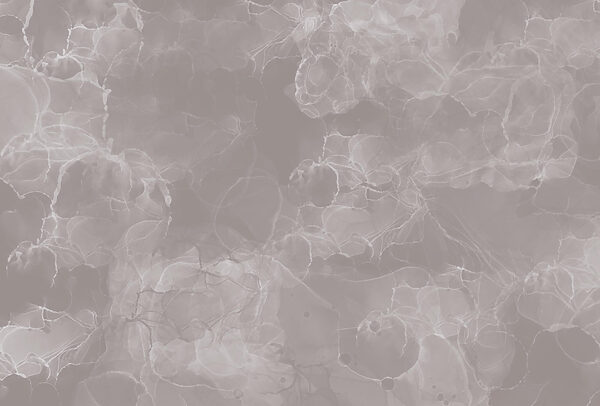 Fundo cinzento e branco Fundo cinzento e branco