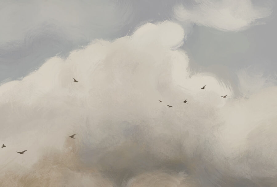 Pássaros a voar pássaros no céu