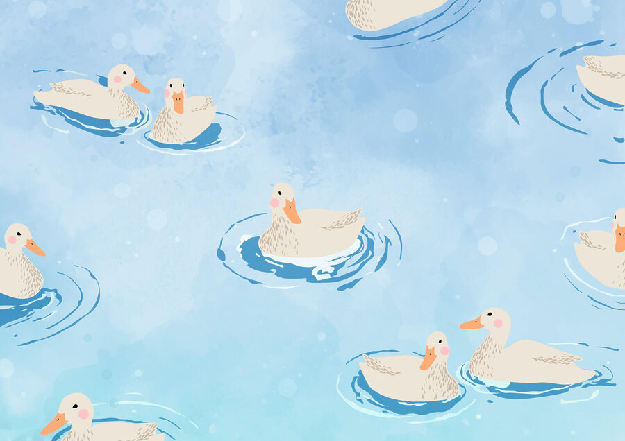 Grupo de patos a nadar na água