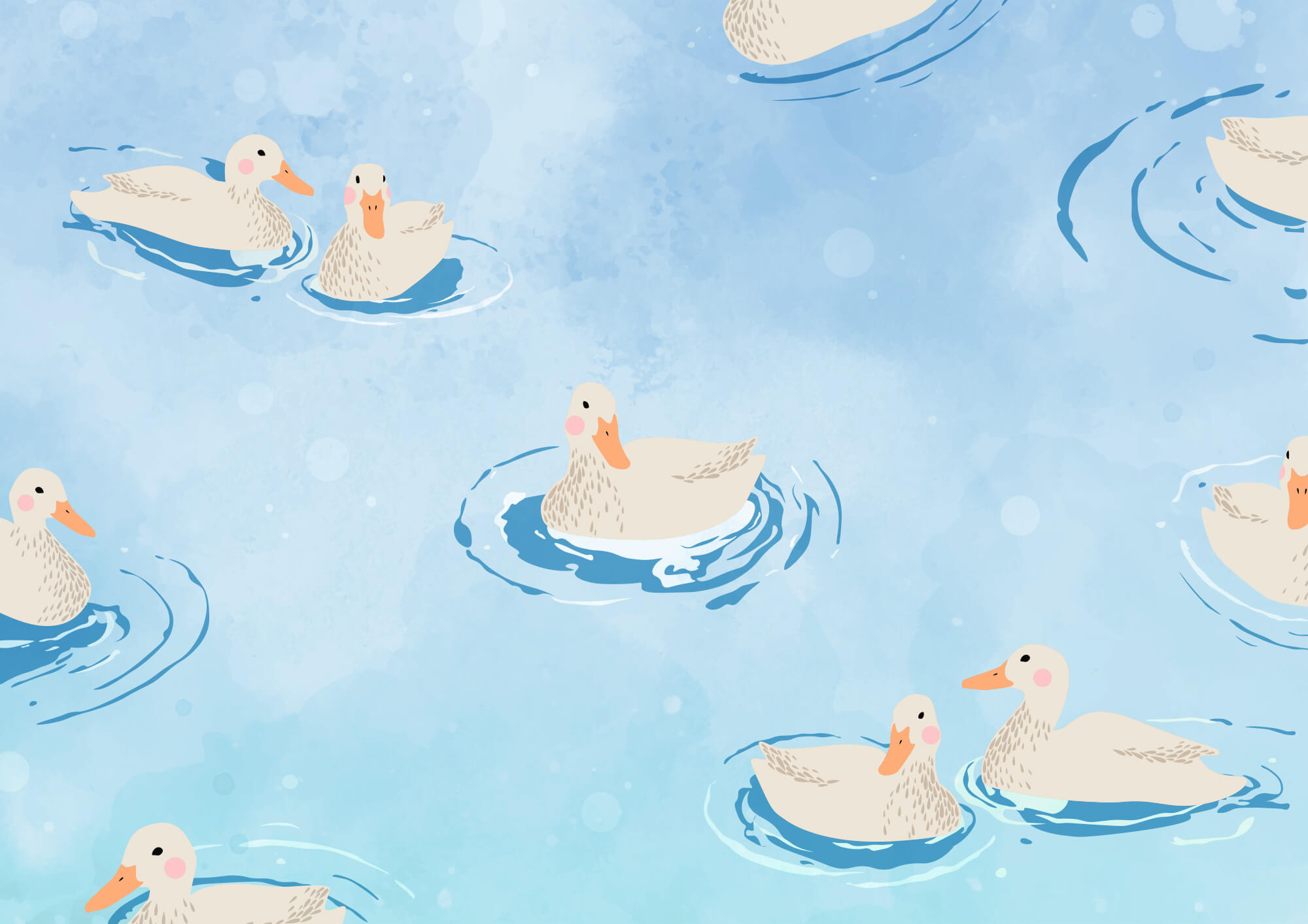 Group of ducks swimming in water Group of ducks swimming in water
