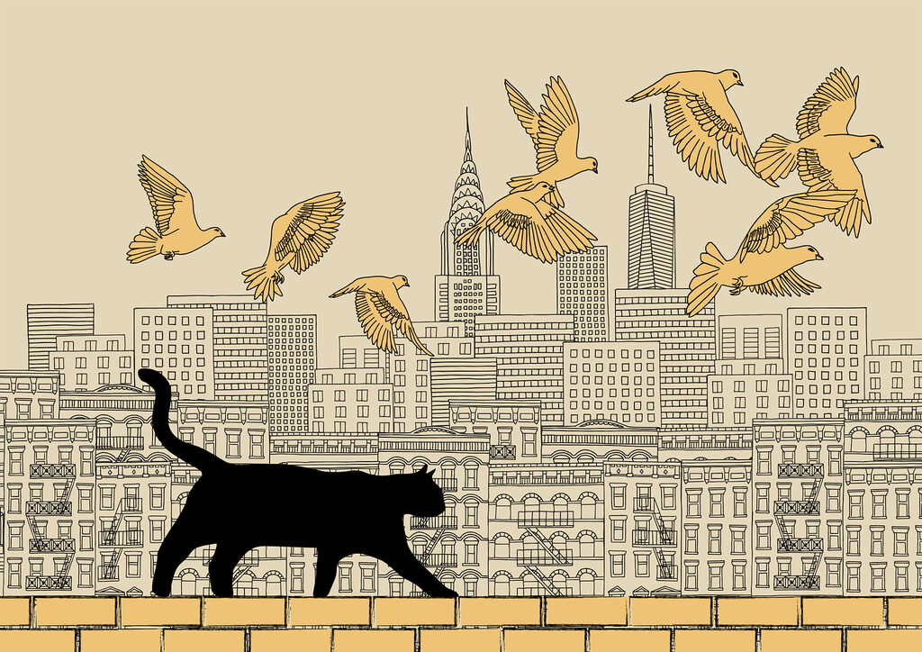 Cat walking on a wall with birds flying in the sky