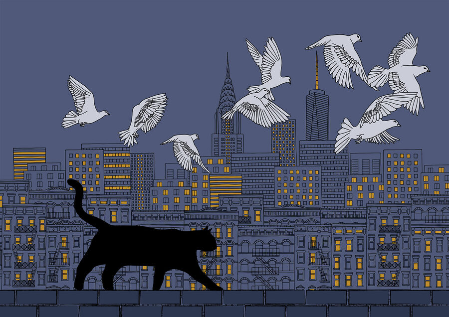 Gato a caminhar numa parede com pássaros a voar no céu