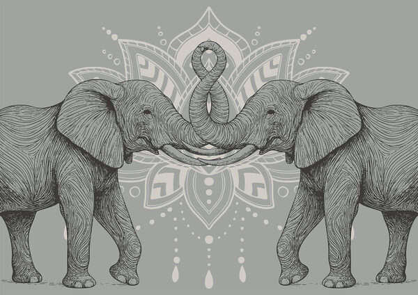 Dois elefantes com as trombas a tocarem-se Dois elefantes com as trombas a tocarem-se