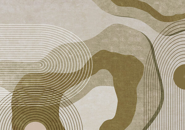 Curvas e linhas abstractas em harmonia Curvas e linhas abstractas em harmonia