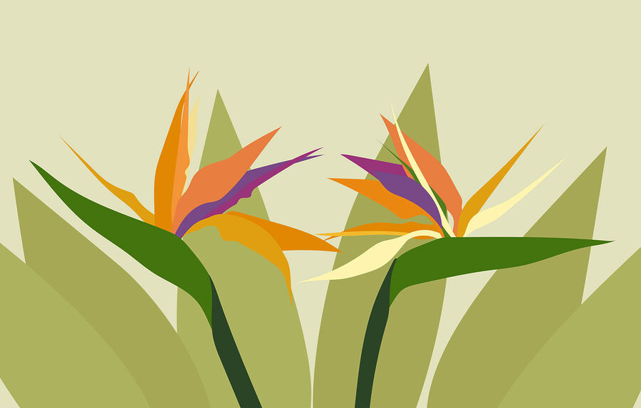 Flores coloridas em caules verdes