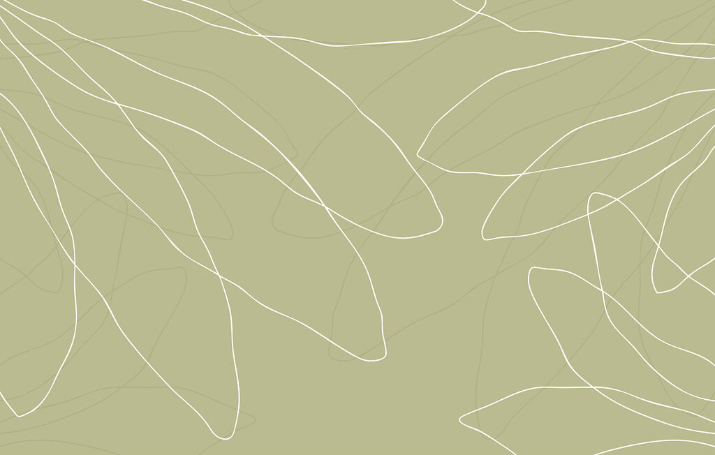 Fundo verde com linhas brancas Fundo verde com linhas brancas