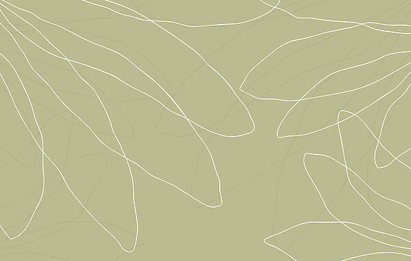 Fundo verde com linhas brancas Fundo verde com linhas brancas