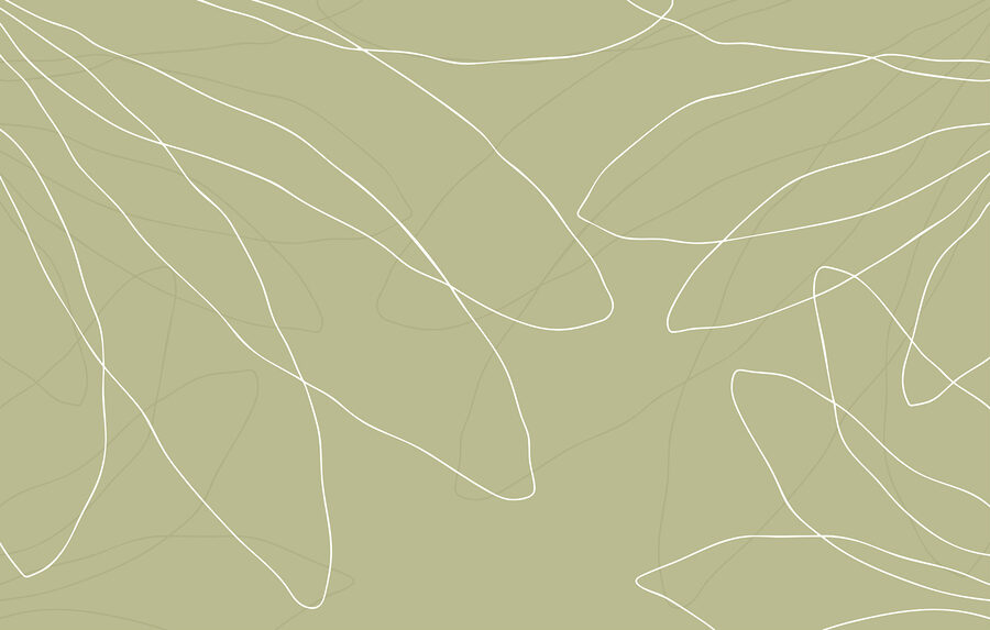 Fundo verde com linhas brancas