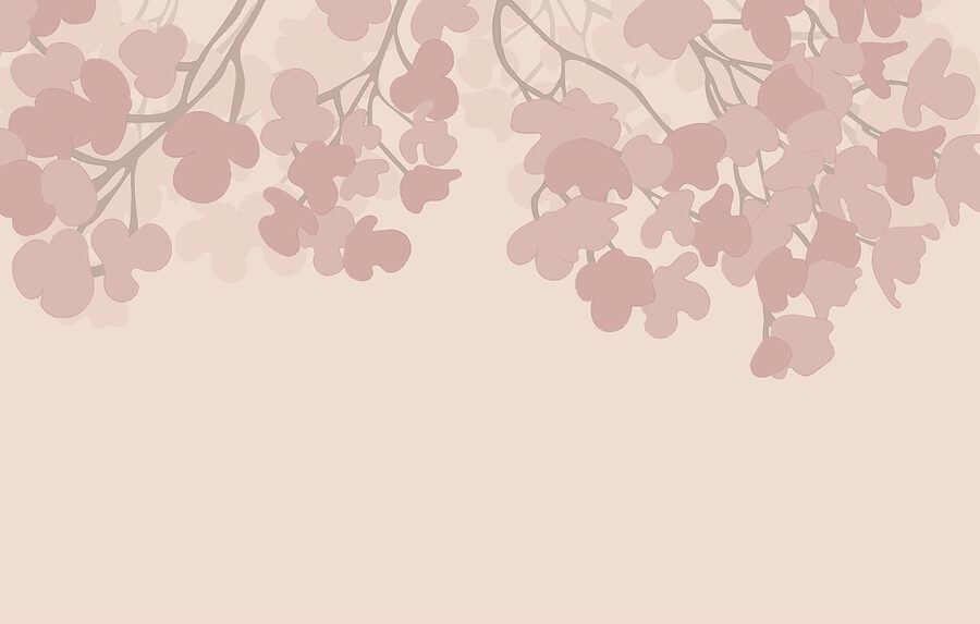 Flores cor-de-rosa sobre um fundo branco