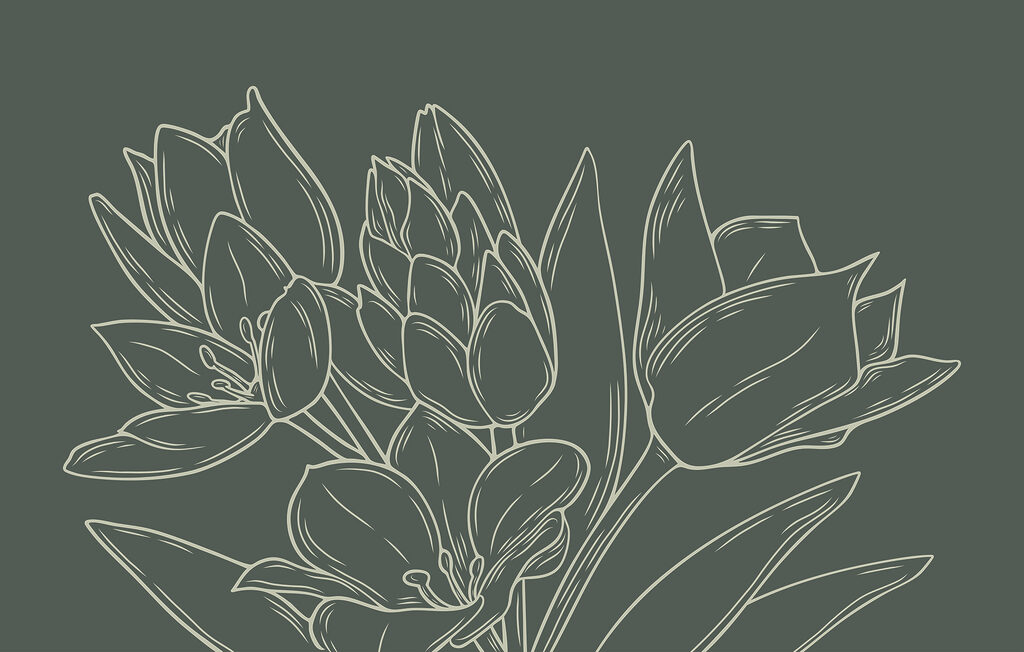 Desenho de flores numa planta Desenho de flores numa planta