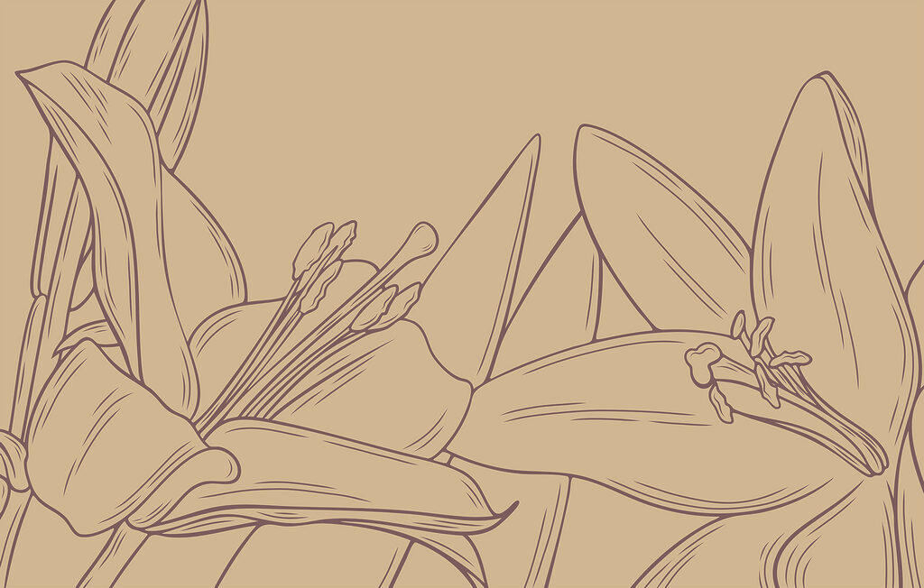 Desenho de uma flor Desenho de uma flor