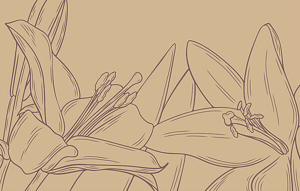 Desenho de uma flor Desenho de uma flor