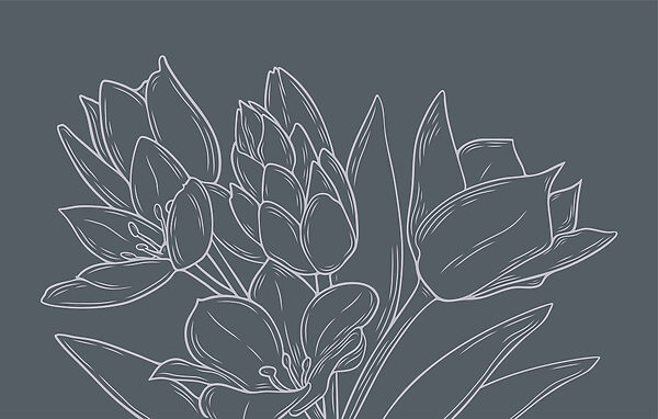 Flores delicadas sobre um fundo escuro Flores delicadas sobre um fundo escuro