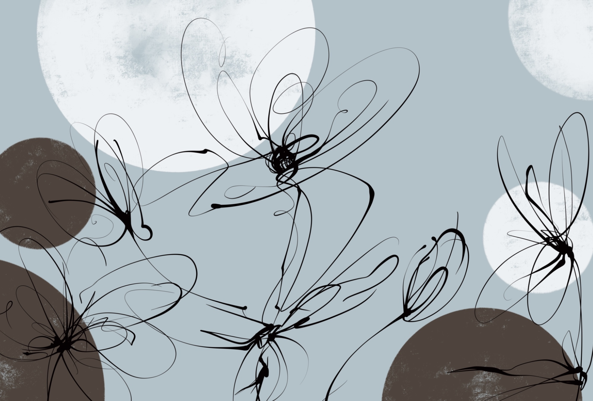 Drawing of flowers and circles Drawing of flowers and circles