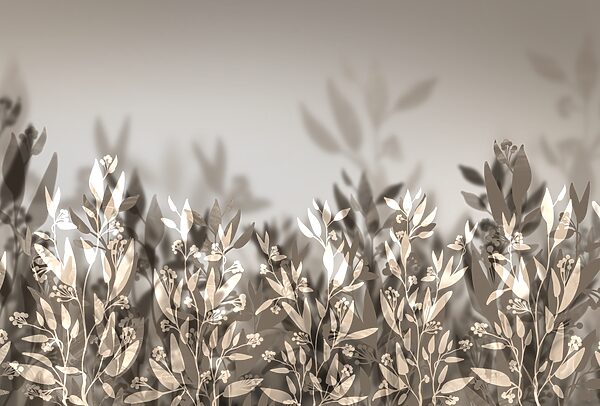 Gentle leaves in soft shadows Gentle leaves in soft shadows