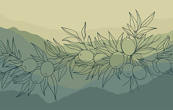 Fotomurais Desenho de um ramo com frutos Fotomurais Desenho de um ramo com frutos