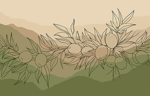 Fotomurais Desenho de um fruto num ramo Fotomurais Desenho de um fruto num ramo