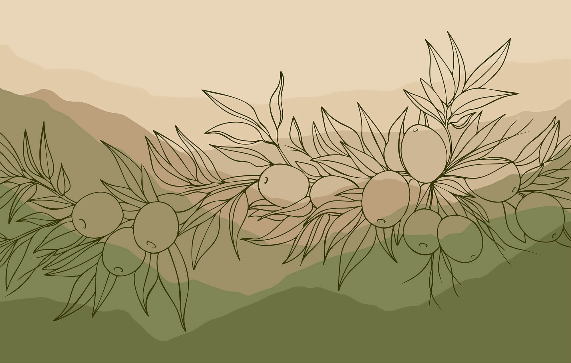 Drawing of fruit on a branch Drawing of fruit on a branch