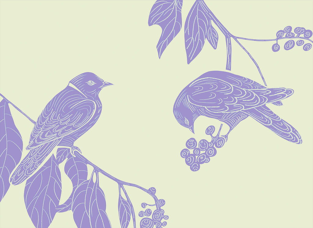 Drawing of birds on a branch Drawing of birds on a branch
