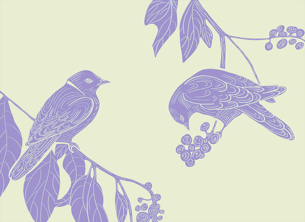 Drawing of birds on a branch Drawing of birds on a branch
