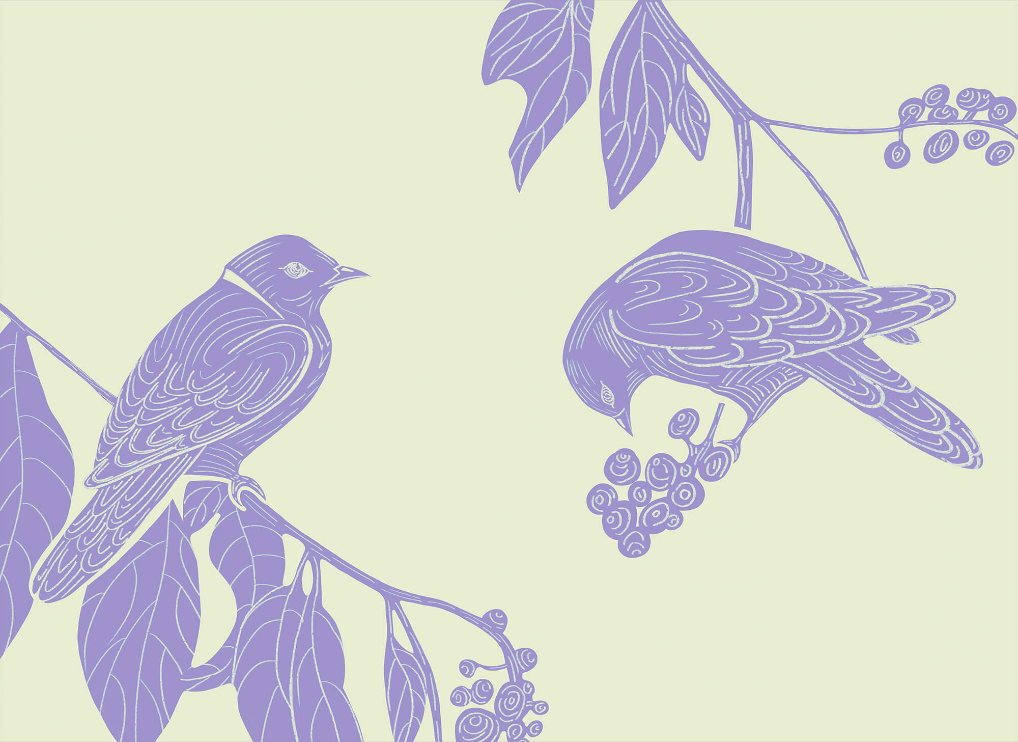 Drawing of birds on a branch Drawing of birds on a branch