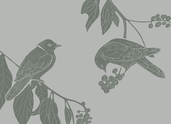 Birds on a branch with leaves Birds on a branch with leaves