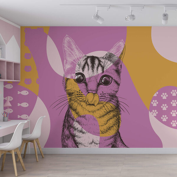 Gato com nariz de rato