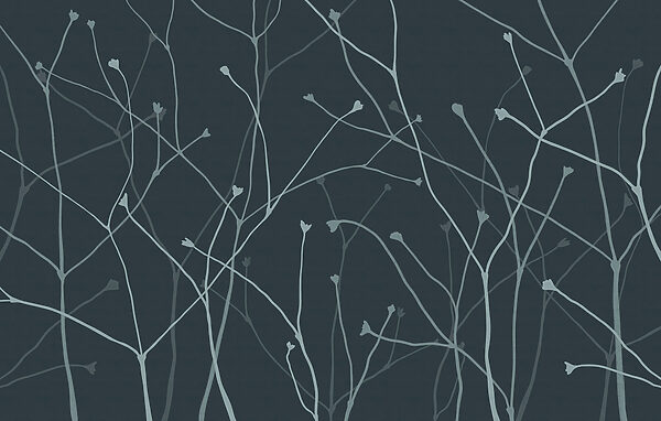 Delicate branches against a dark backdrop