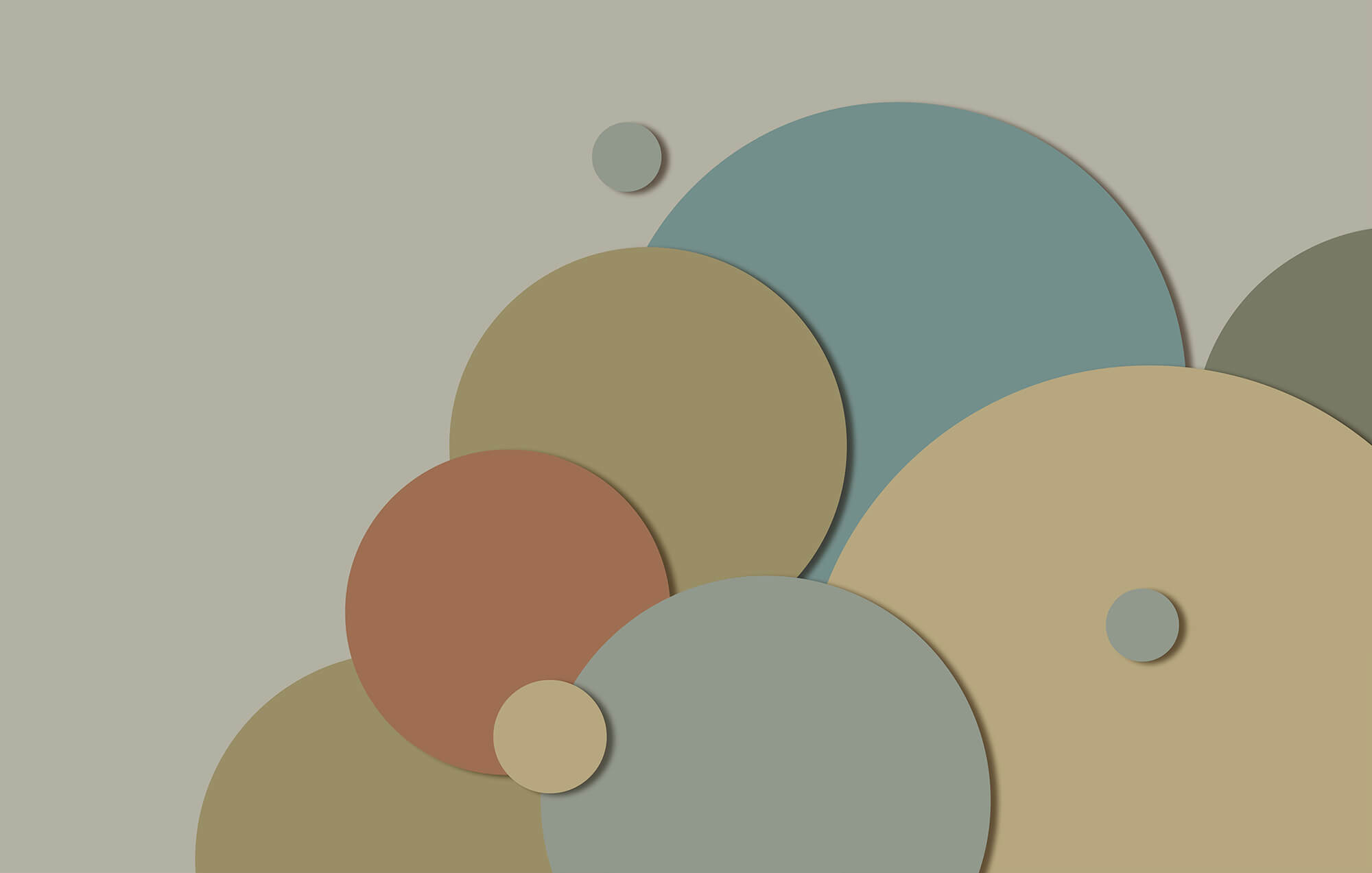 Group of circles with different colors