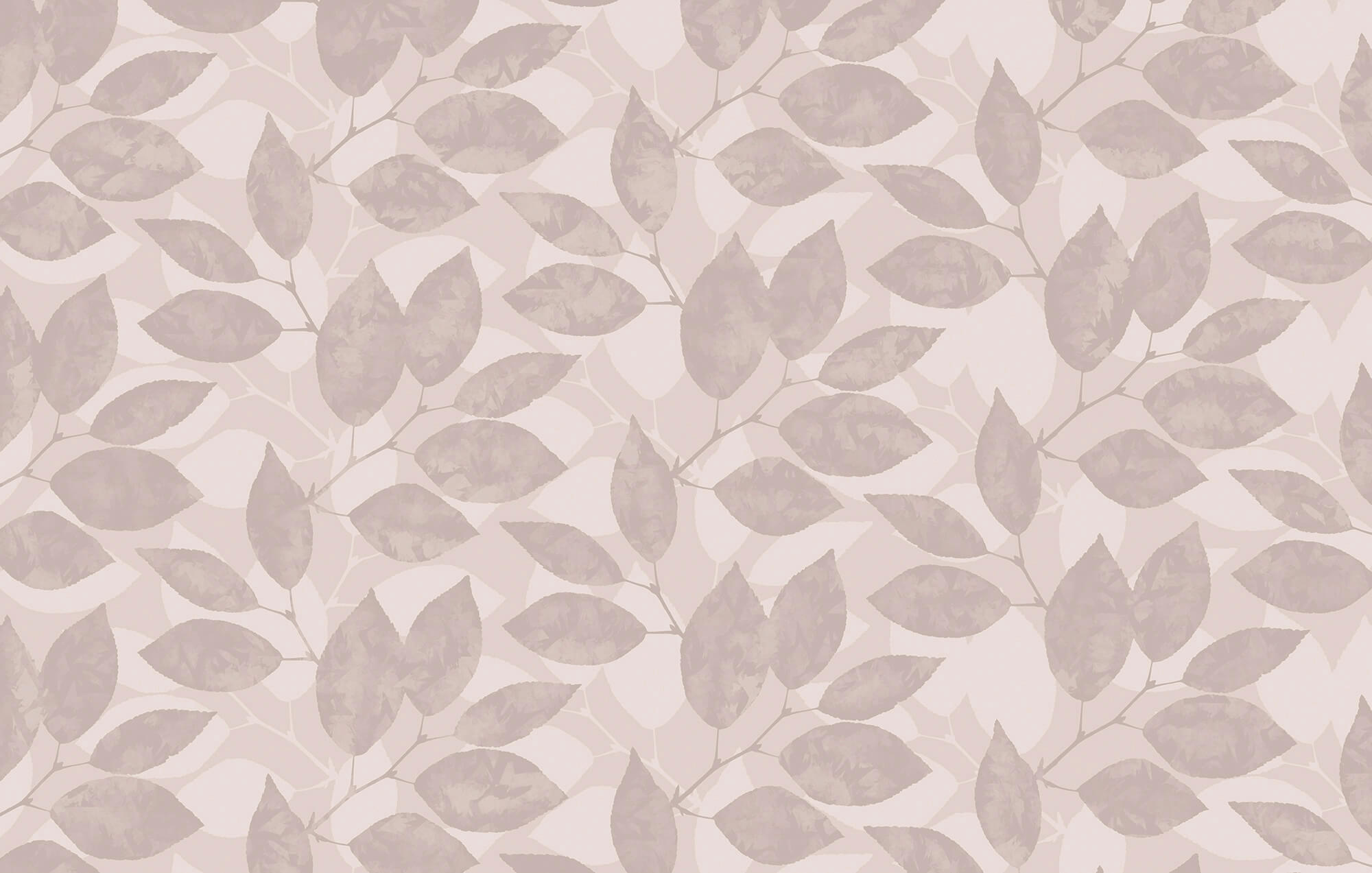 Pattern of leaves on a white background
