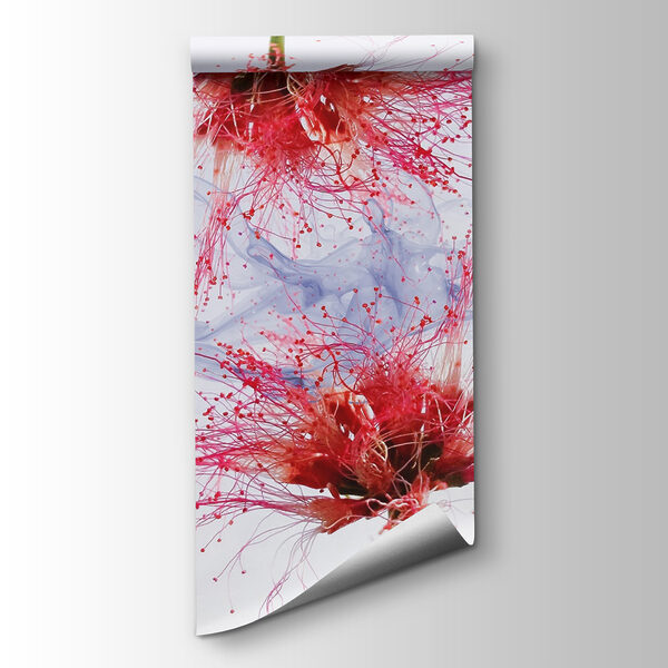 Ethereal blooms in soft colors Ethereal blooms in soft colors