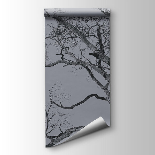 Tree with branches and a moon in the background Tree with branches and a moon in the background