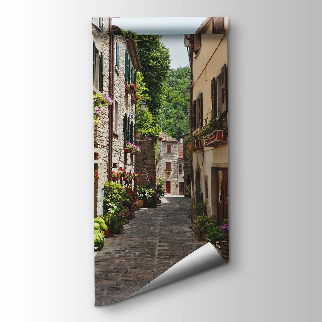 Narrow street with flowers and plants on the side