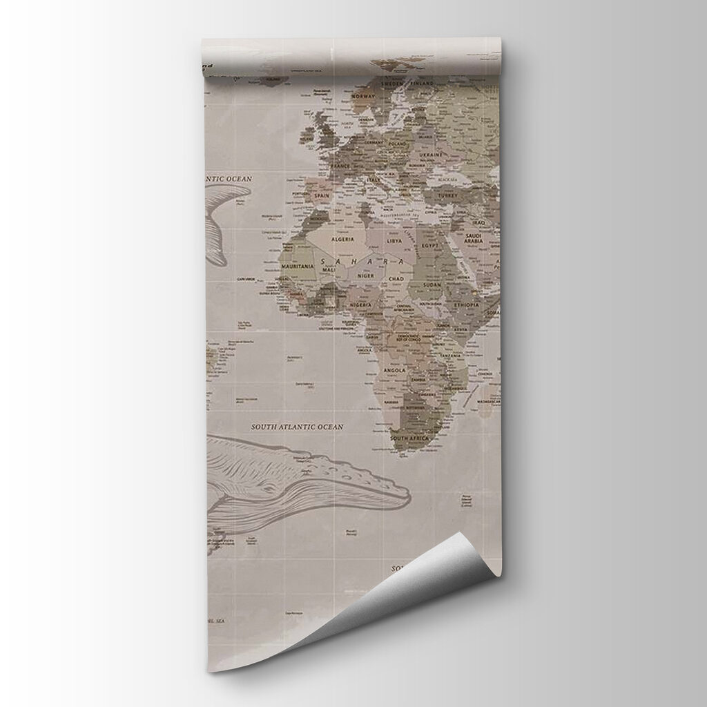 Map of the world with whales