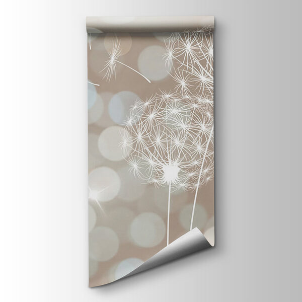 Delicate dandelions in soft backdrop Delicate dandelions in soft backdrop