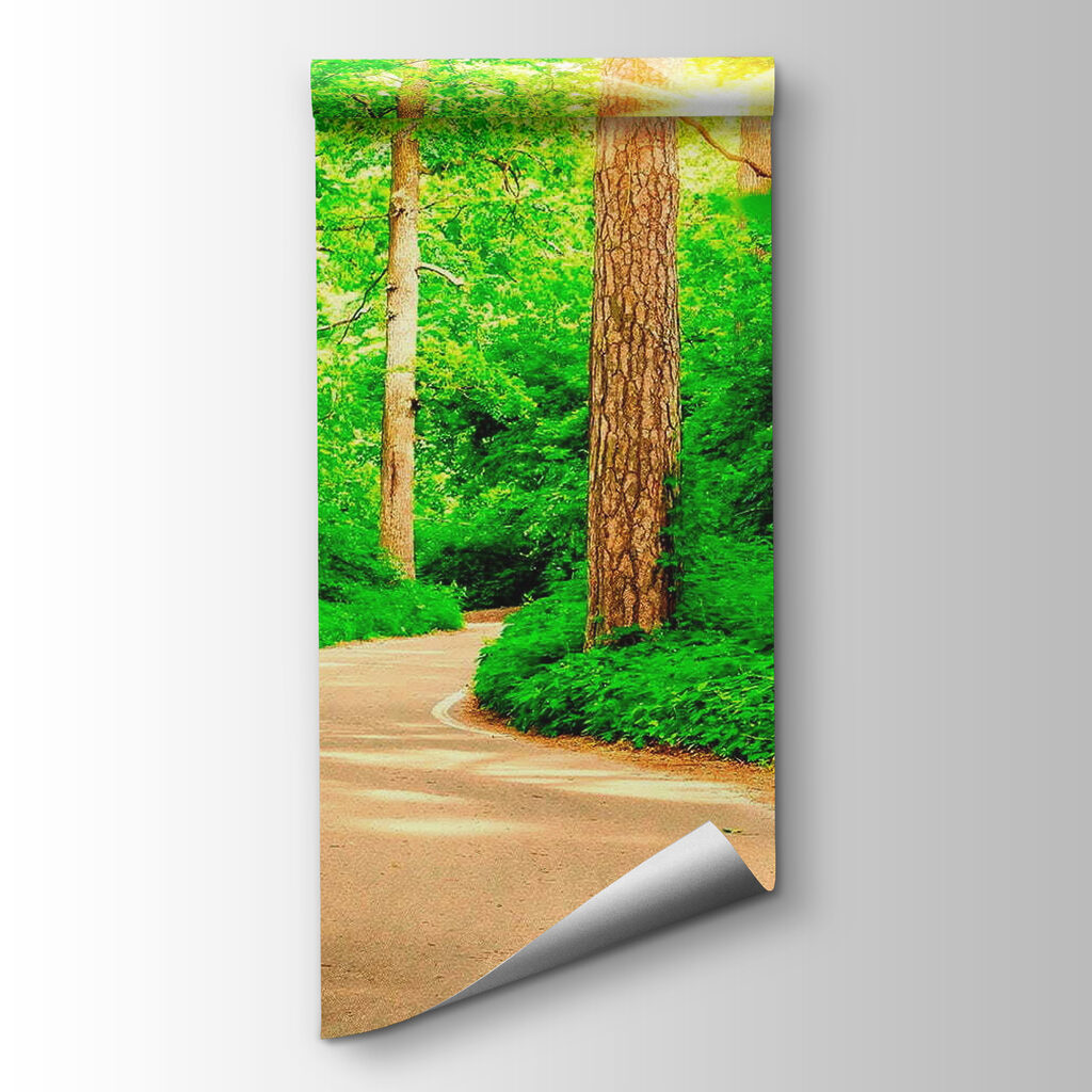 Road through a forest Road through a forest