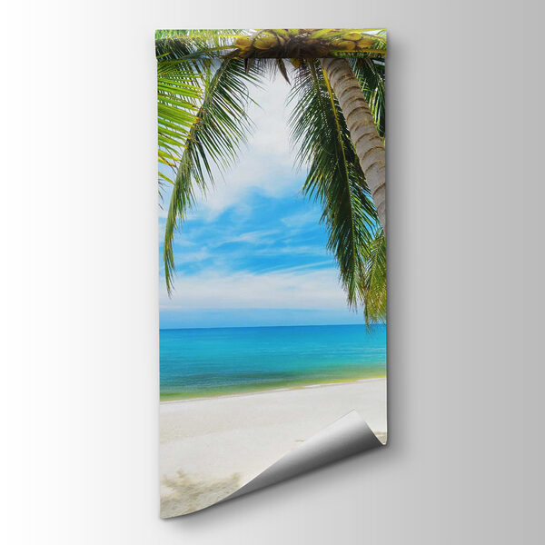 Palm trees on a beach Palm trees on a beach