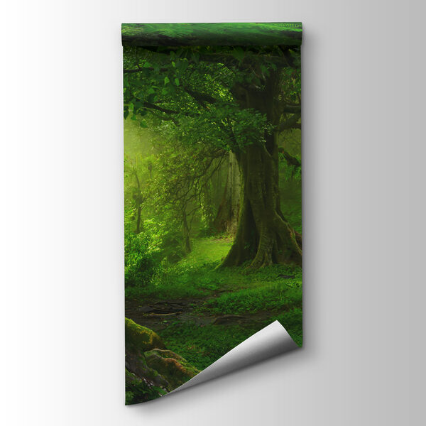 Forest with trees and plants