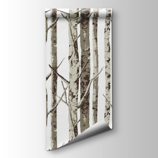 Group of trees with no leaves Group of trees with no leaves