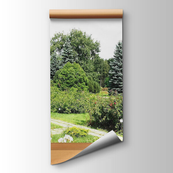 Window with trees and a path through it