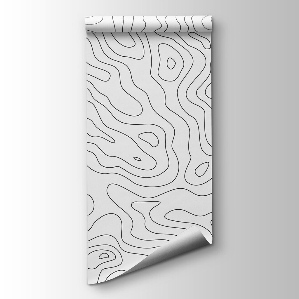 Black and white contour lines