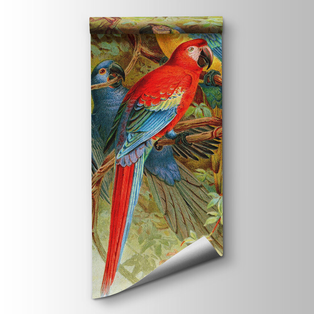 Group of colorful birds on a tree branch