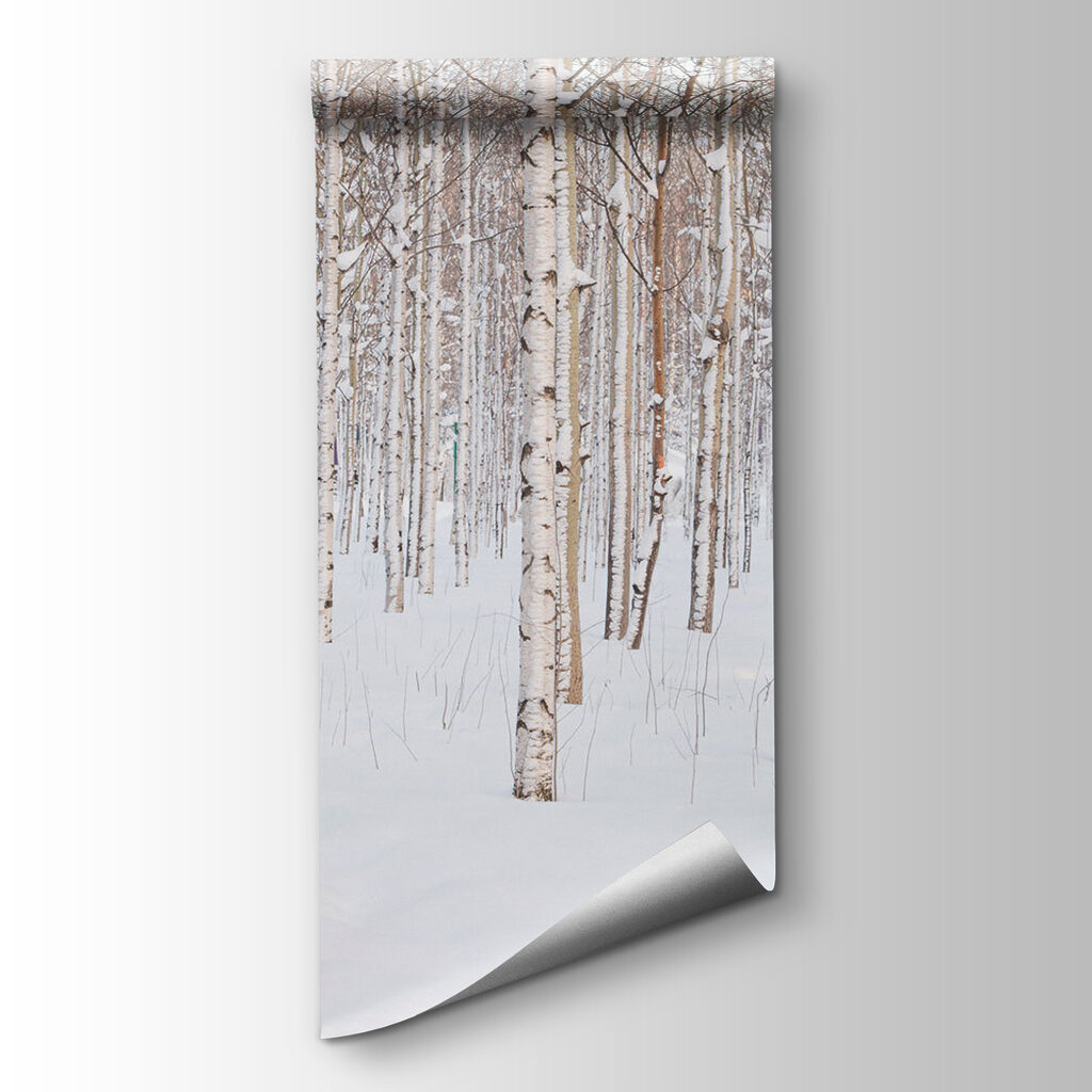 Group of trees in a snowy forest Group of trees in a snowy forest