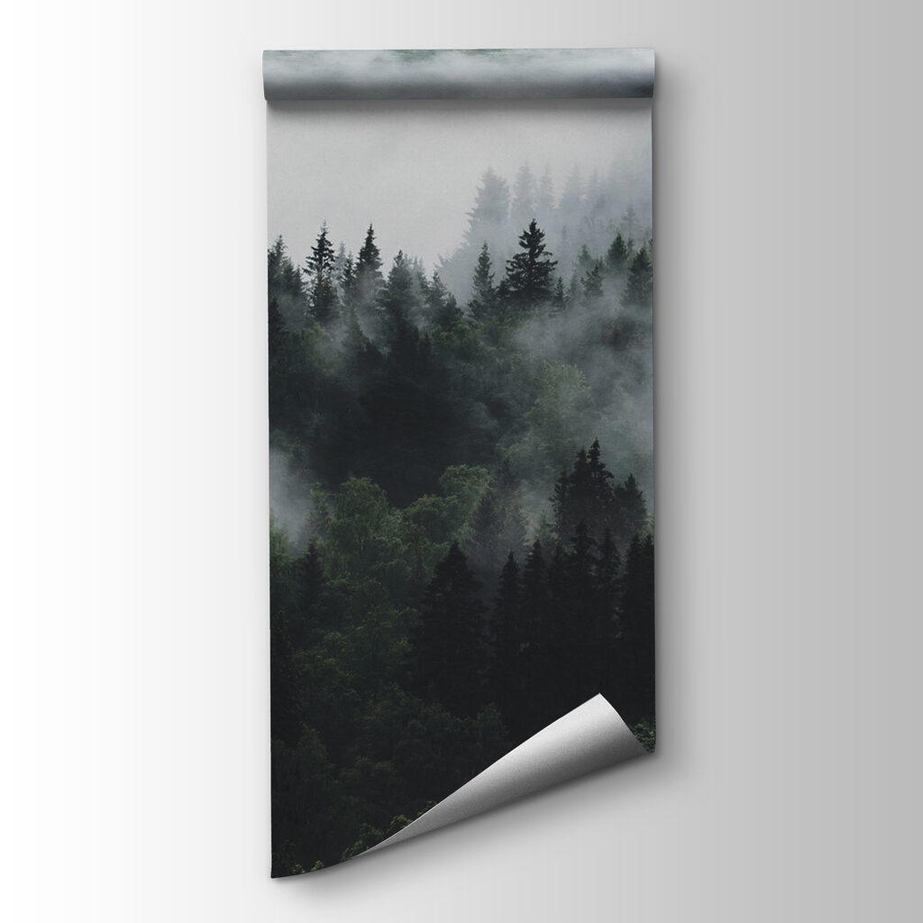 Foggy forest with trees