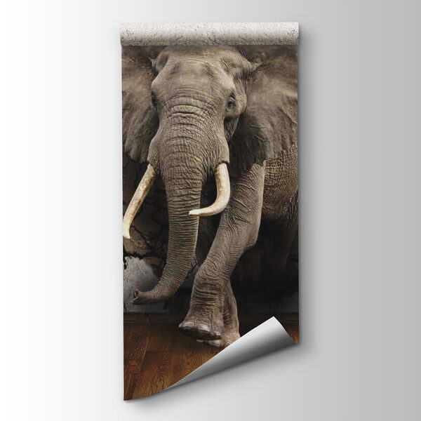 An elephant coming through a wall An elephant coming through a wall