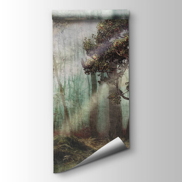 Foggy forest with trees and fog Foggy forest with trees and fog